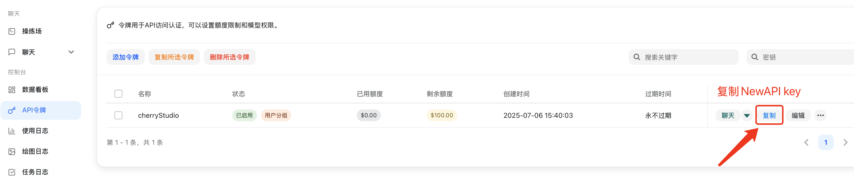 复制 API 密钥